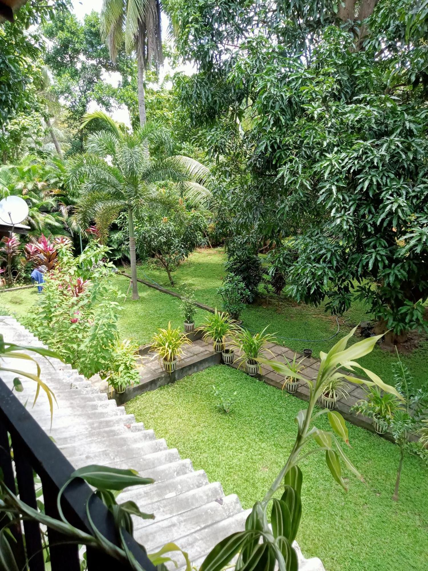 Kithmi Resort Polonnaruwa Eksteriør billede